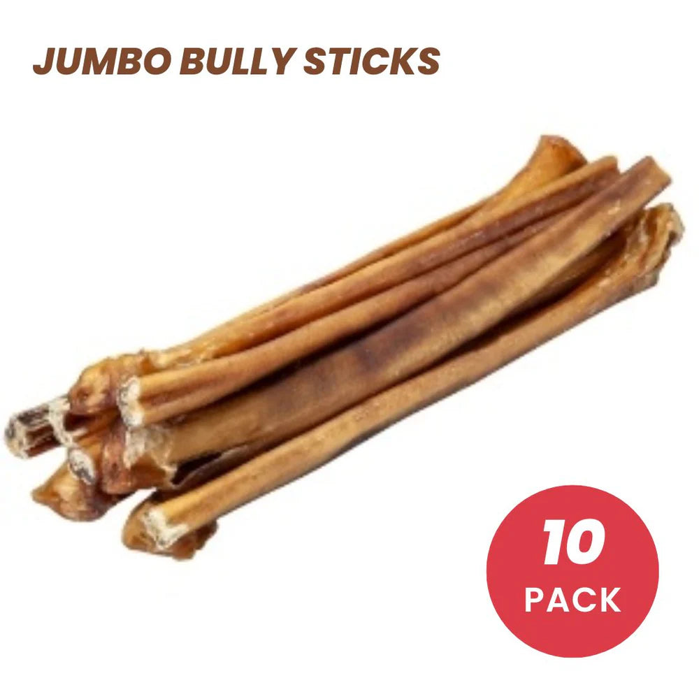 BLACKDOG JUMBO BULLY STICKS 10PACK