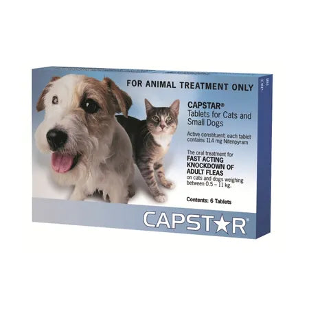 Capstar Blue for Cats and Dogs 0.5-11kgs