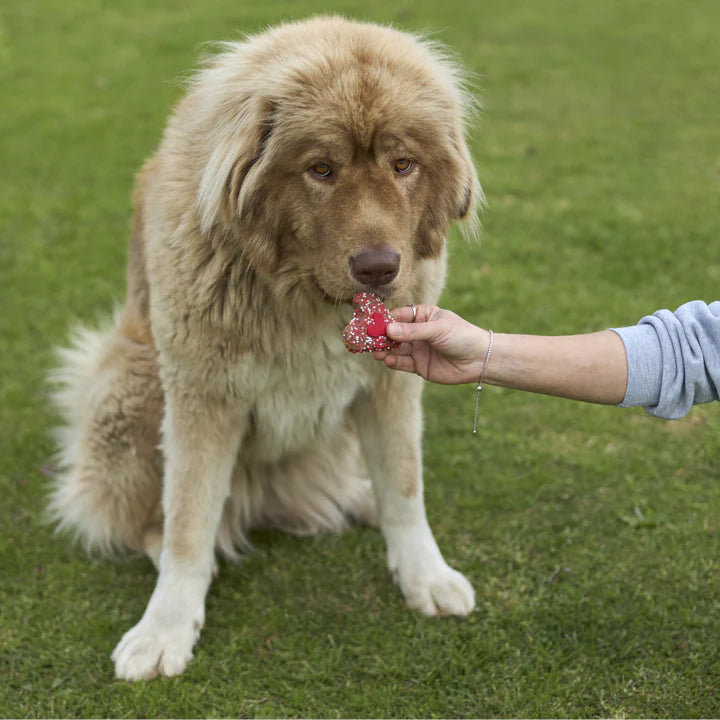 Kazoo Barney's Barkery Dog Heart Cookie