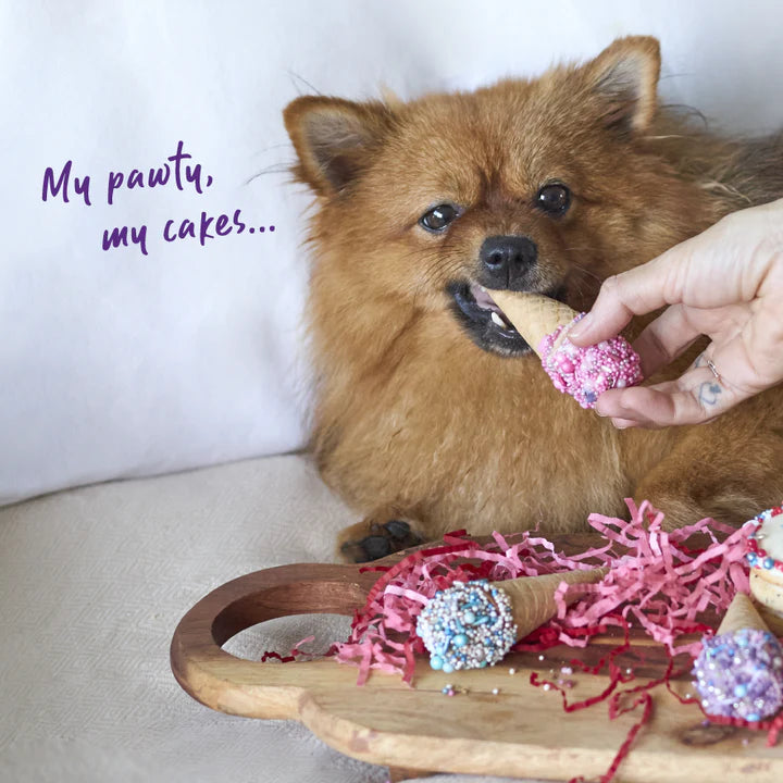 Kazoo Barney's Barkery Dog Ice Cream Cone