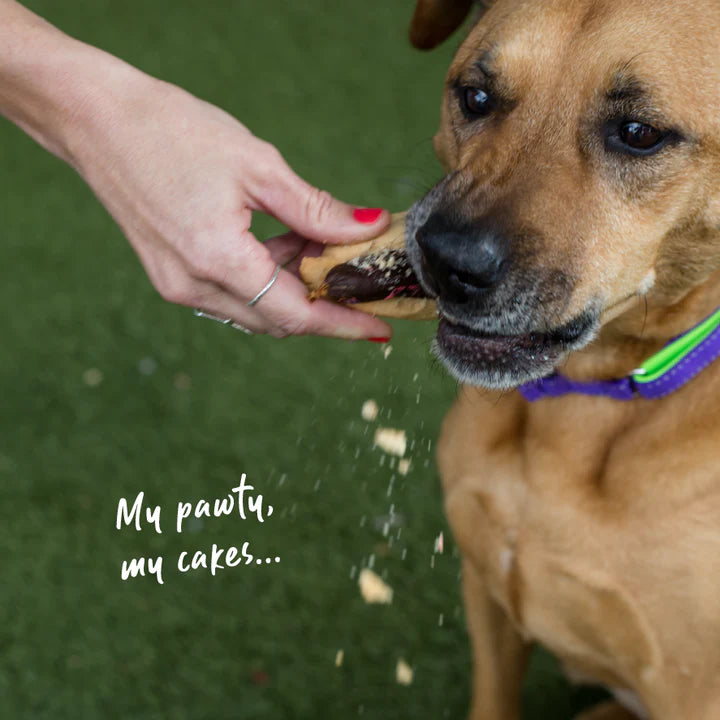 Kazoo Barney's Barkery Hot Dog Treat