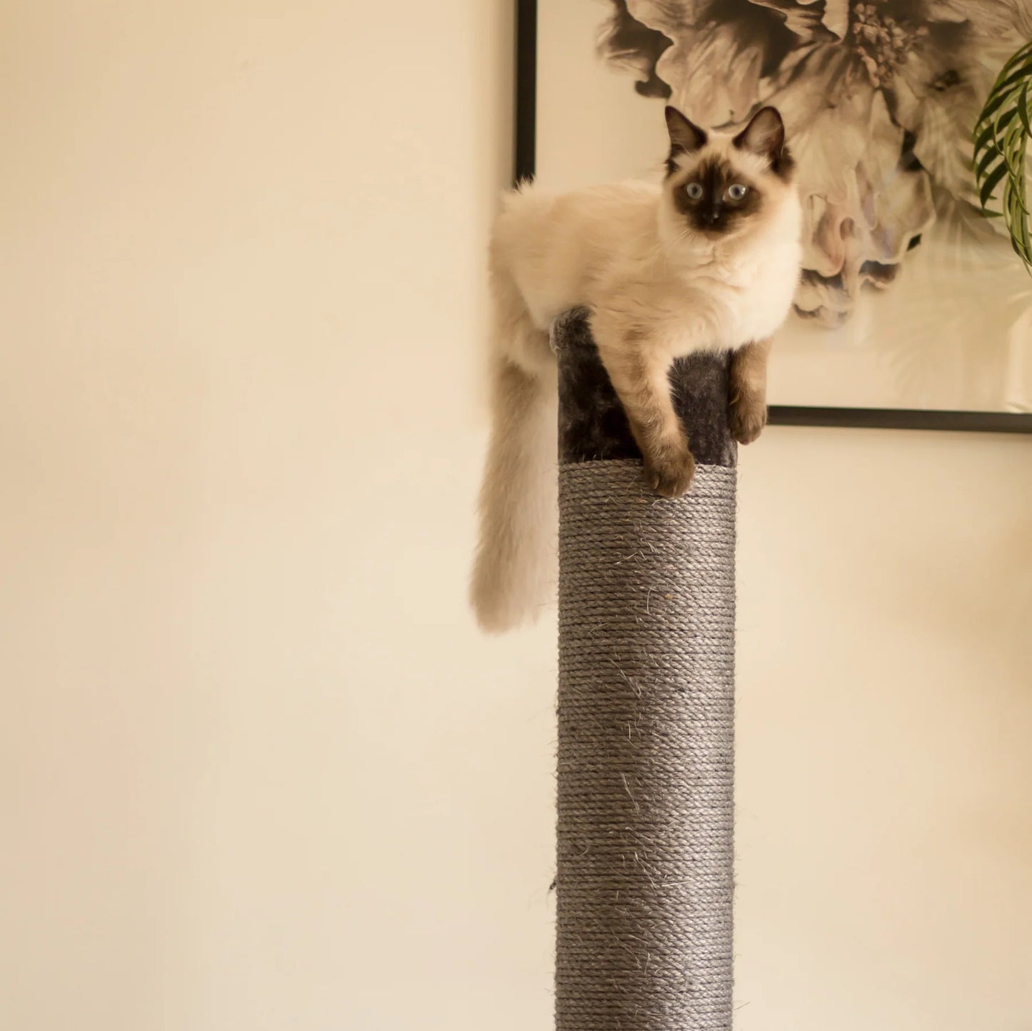 Kazoo Scratch Post Charcoal - Large
