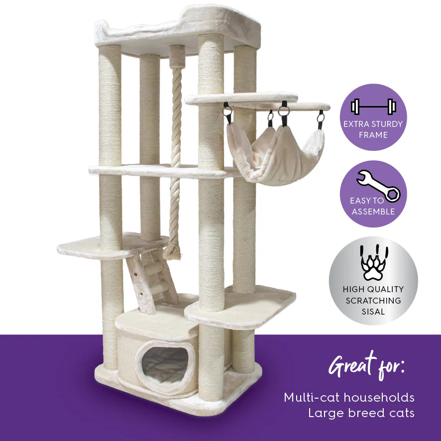 Kitty Climb Playground - Cream