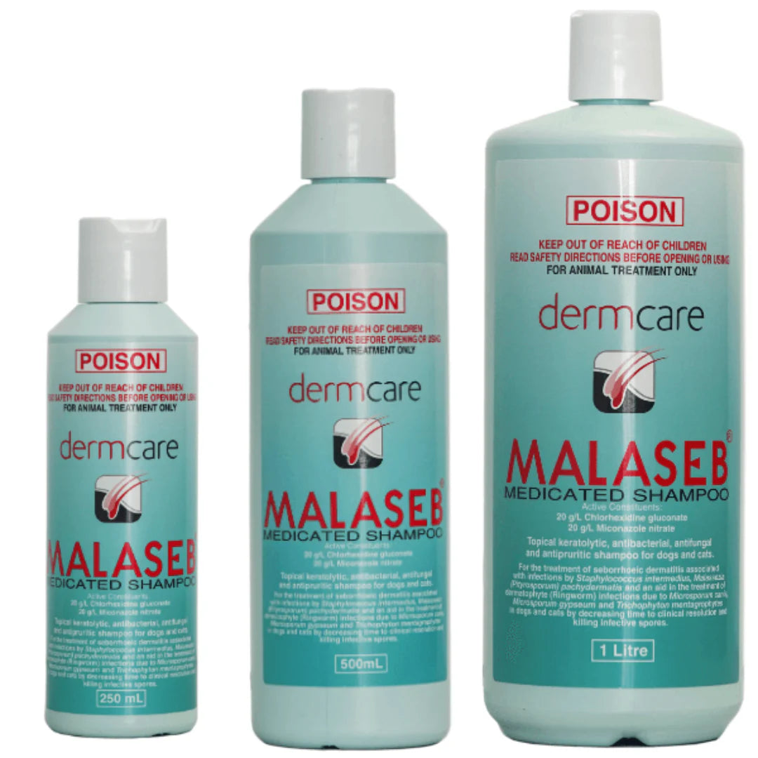 Malaseb pet shampoo online