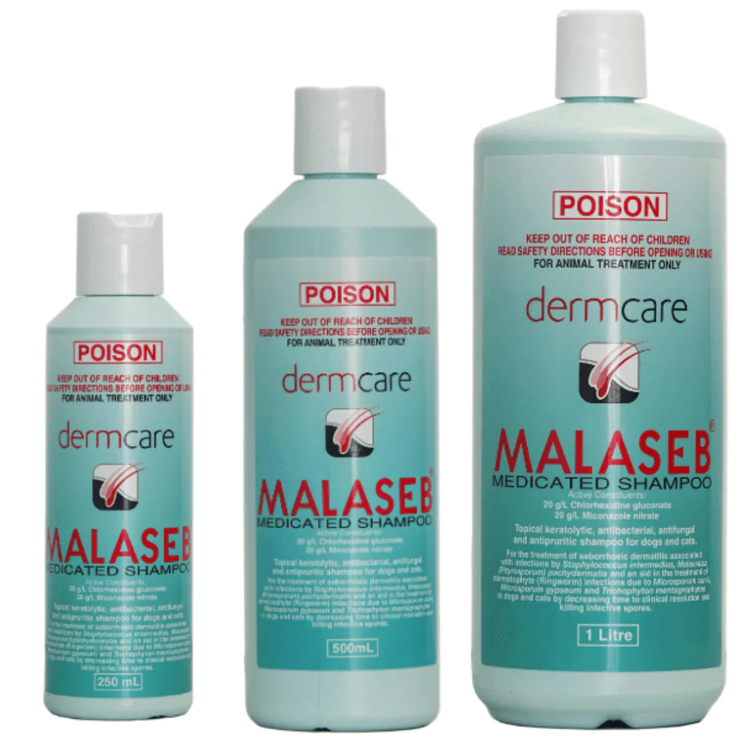 Malaseb Medicated Shampoo Petcare Warehouse