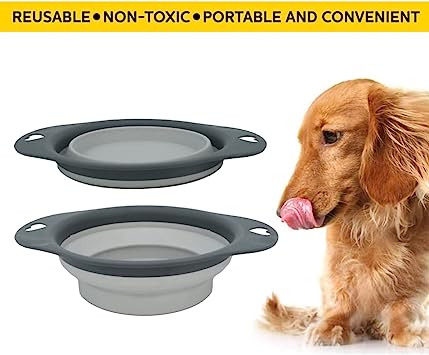 Pet Basic Collapsible Dog Bowl XL