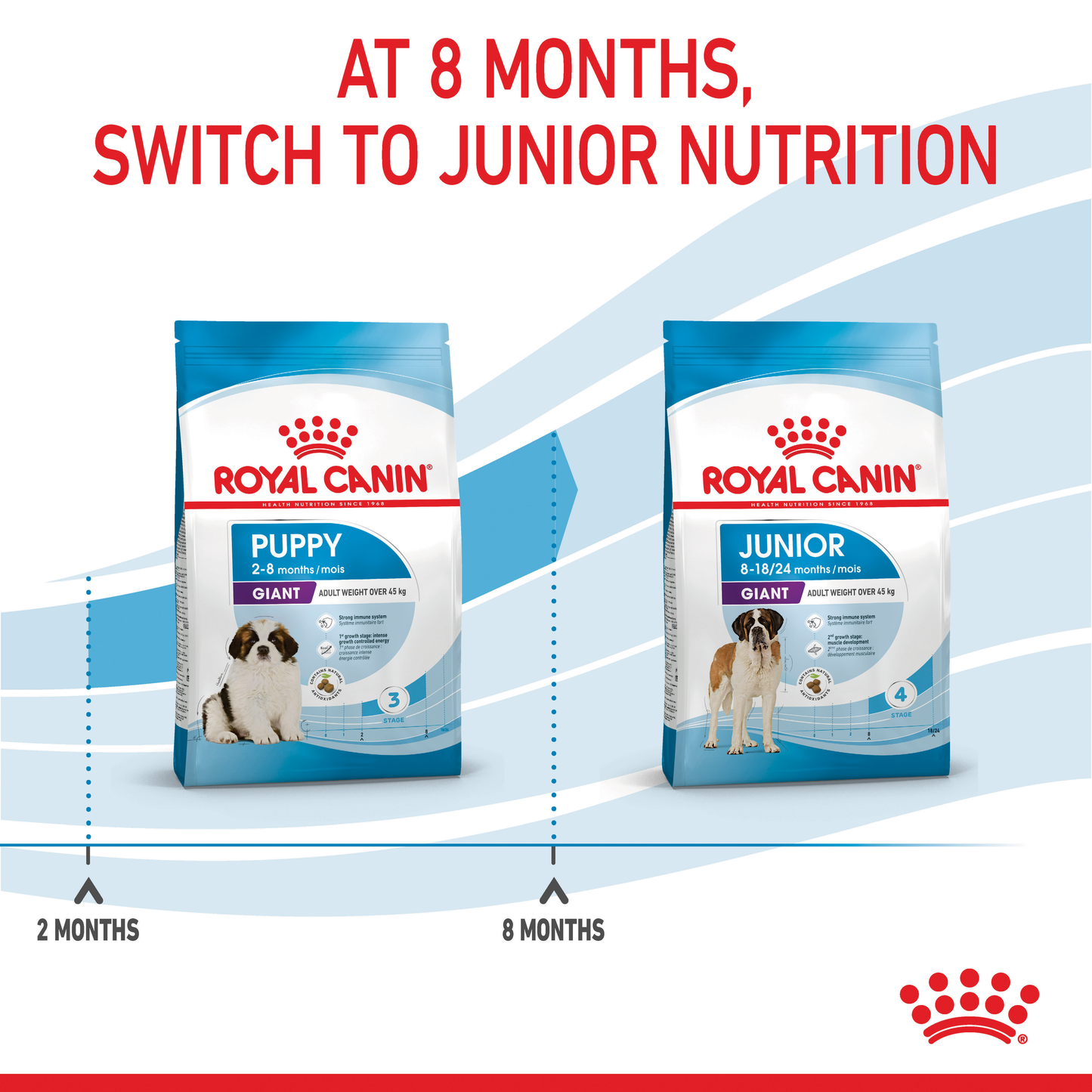 Royal Canin Giant Puppy Dry Food 15kg