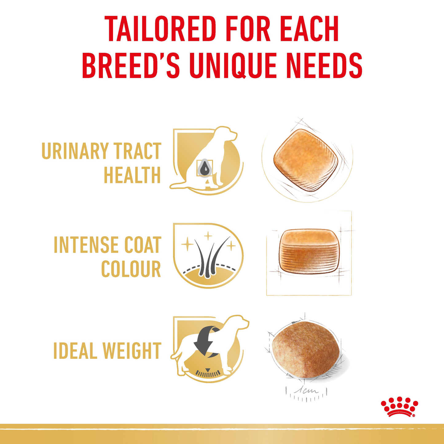 Royal Canin Miniature Schnauzer Adult Dry Food