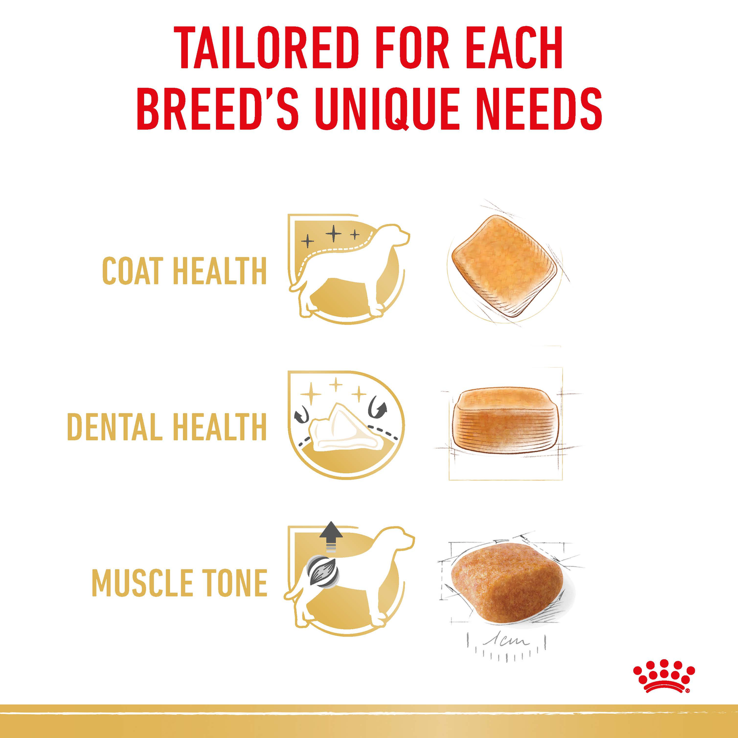 Royal Canin Poodle Adult Dry Food