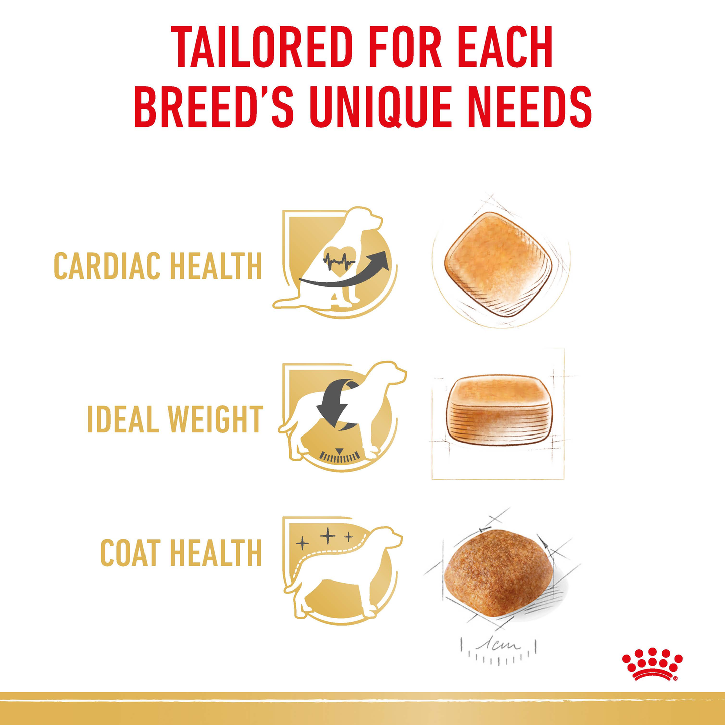 Royal Canin Cavalier King Charles Adult Dry Food