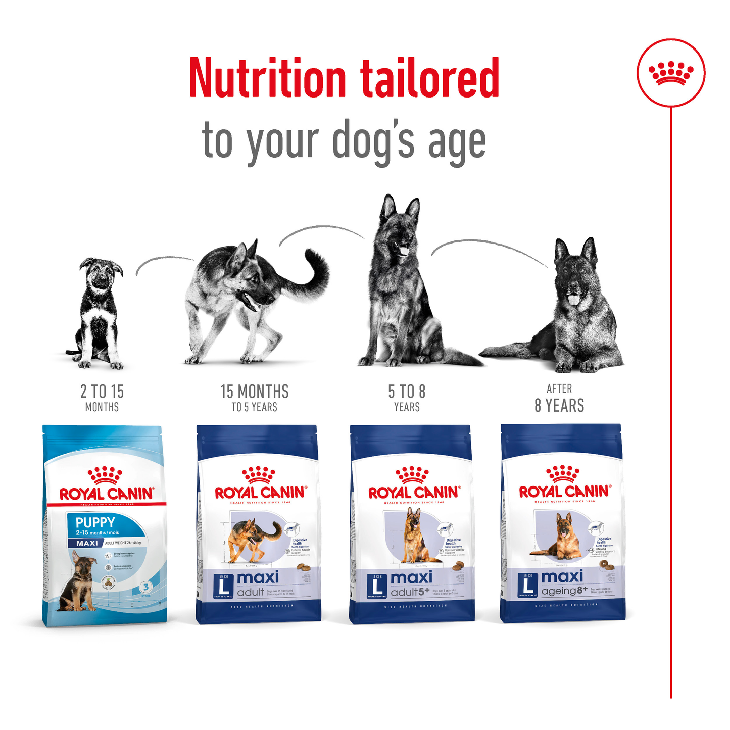 Royal Canin Maxi Ageing 8+ Dry Food