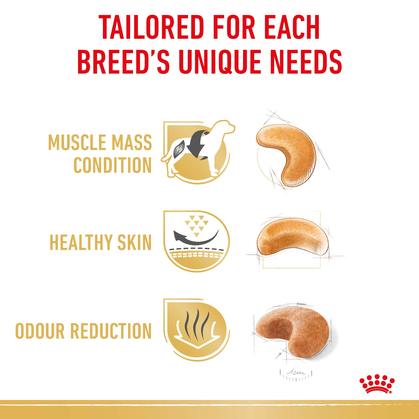 Royal Canin French Bulldog Adult Dry Food