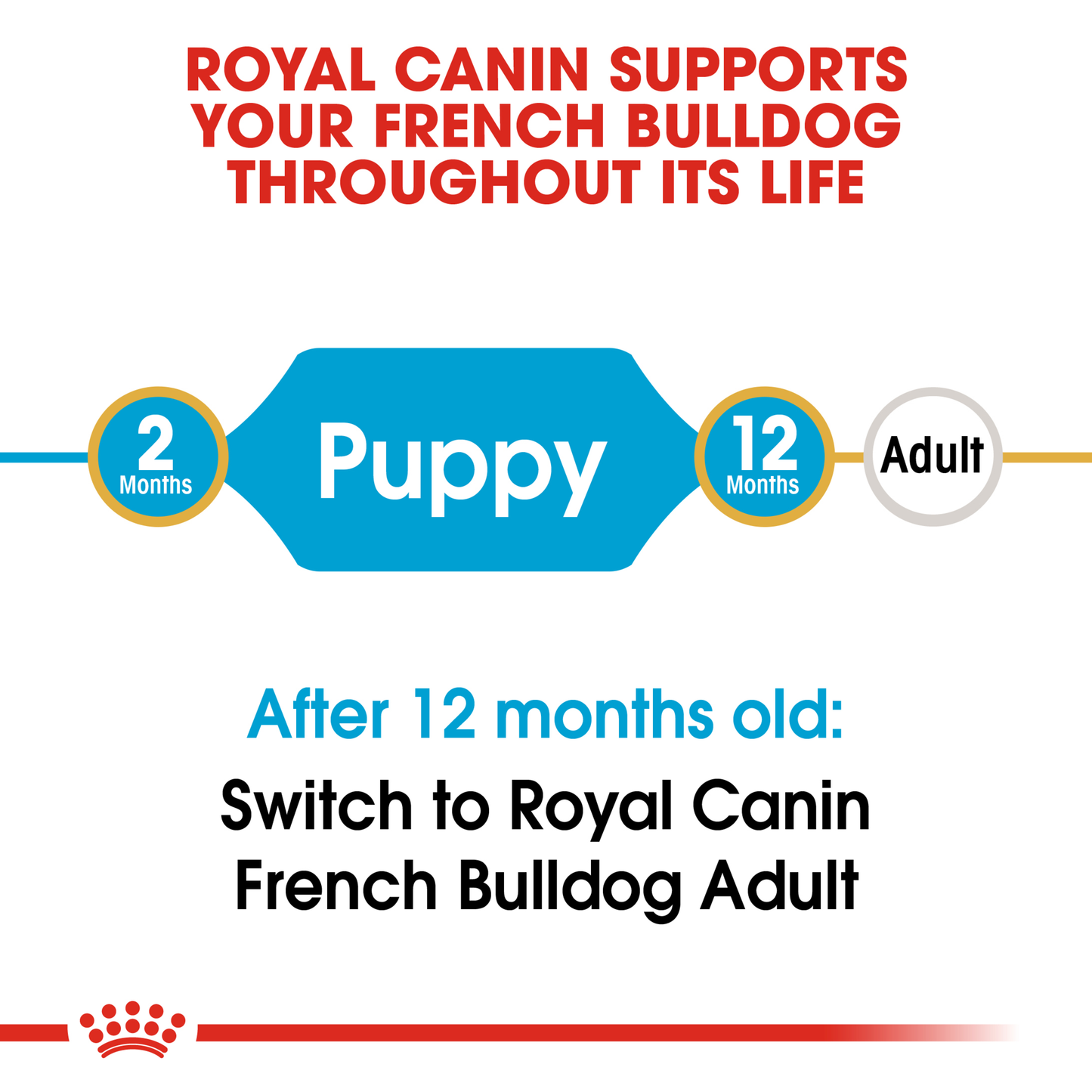 Royal Canin French Bulldog Puppy Dry Food 3kg