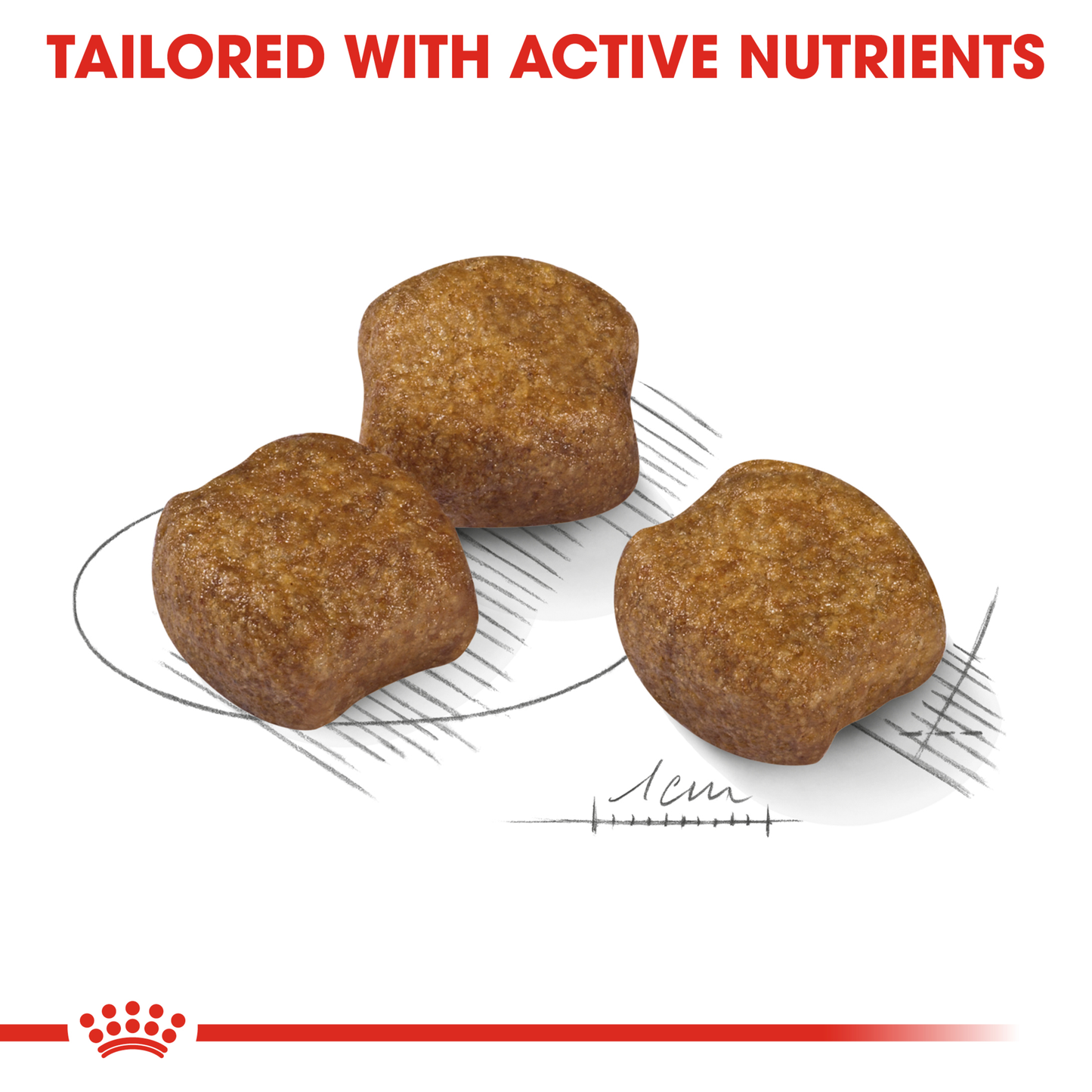Royal Canin Medium Dental Care Dry Food