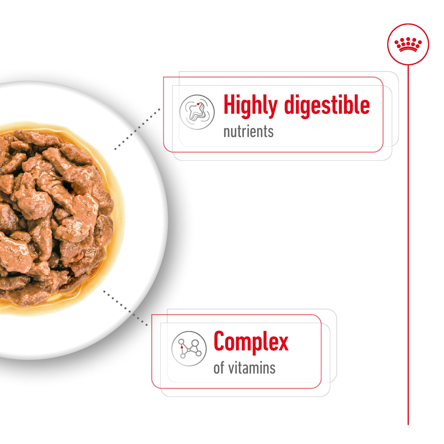 Royal Canin Mini Adult Gravy 12x85g