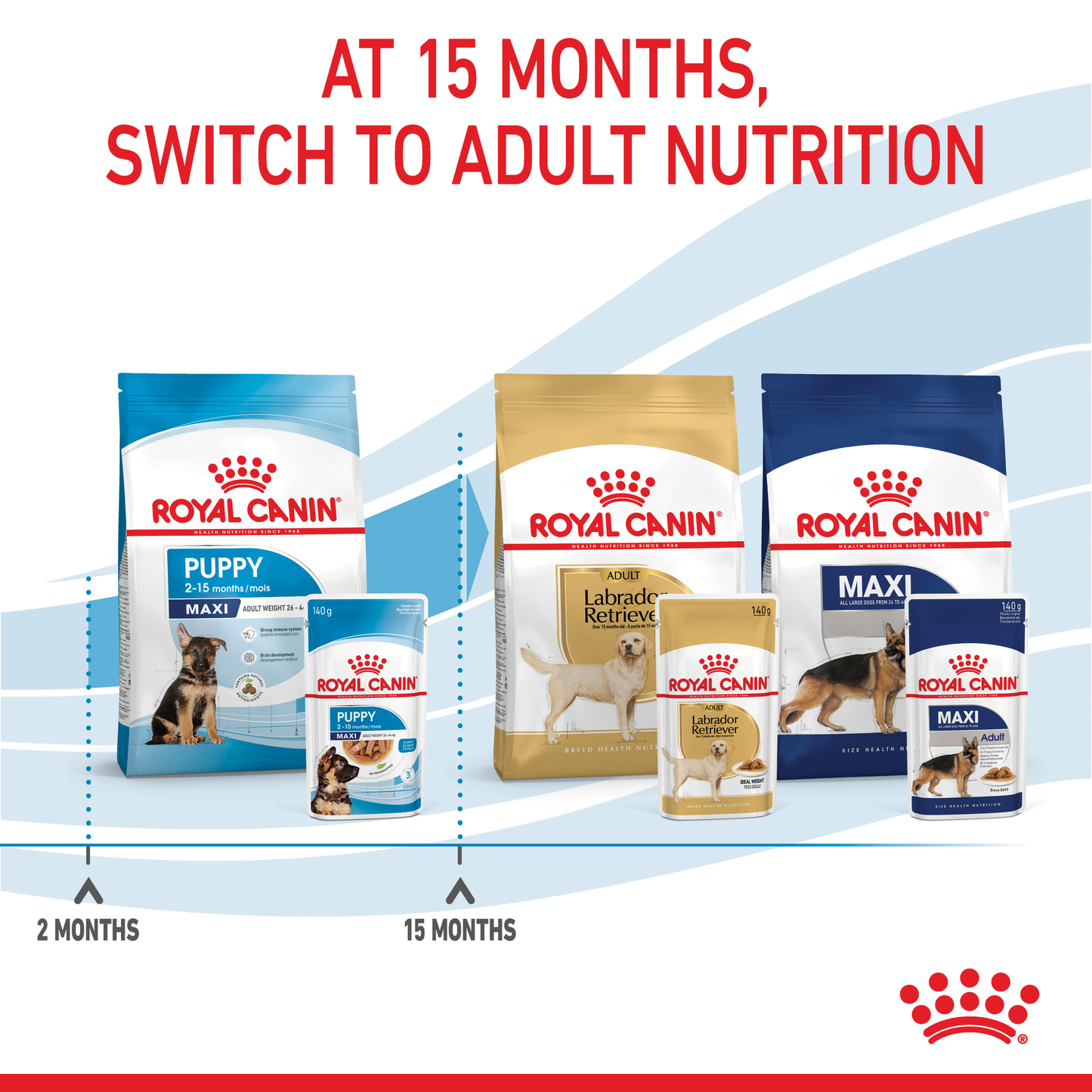 Royal Canin Maxi Puppy Gravy 10x140g