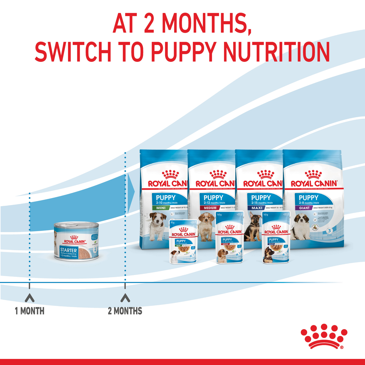 Royal Canin Starter Mother & Babydog 1-2 months