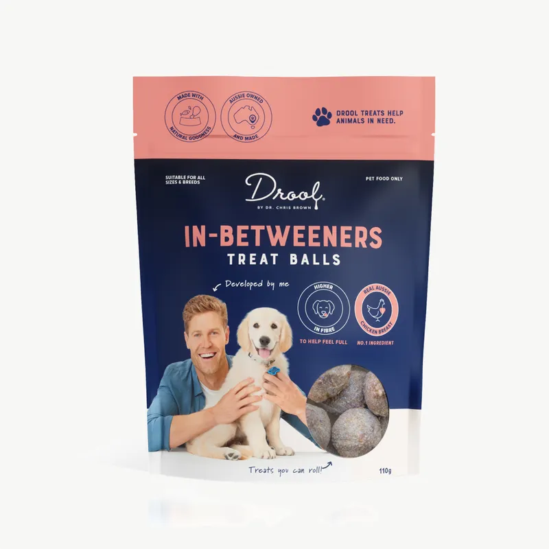 DROOL DR CHRIS IN-BETWEENERS GLAND & GUT TREAT CHICKEN 110G