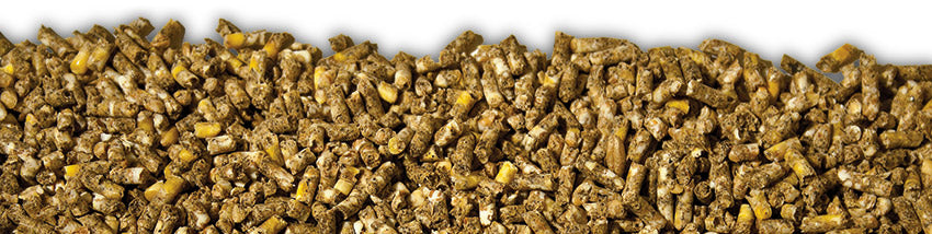 Laucke Mills Showbird Breeder MP 20kg