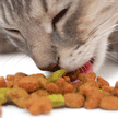 Cat-Food.gif