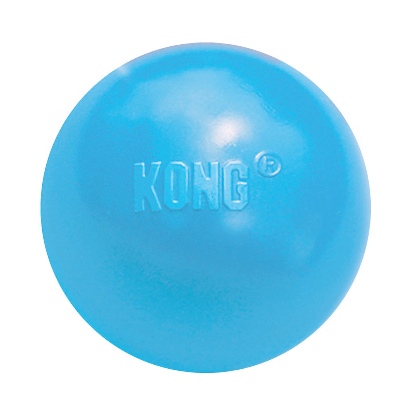 Kong Puppy Ball Small