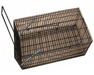 Pet One Rat Trap Black