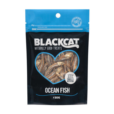 Black Cat Ocean Fish