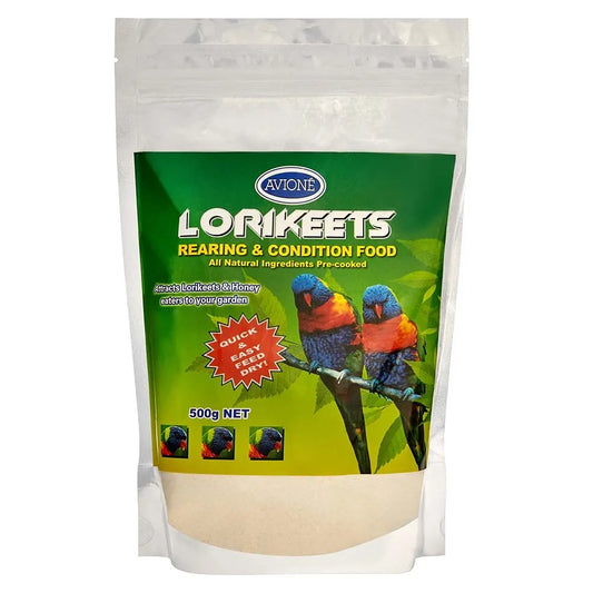 Avione Lorikeet Rearing and Condtion Food