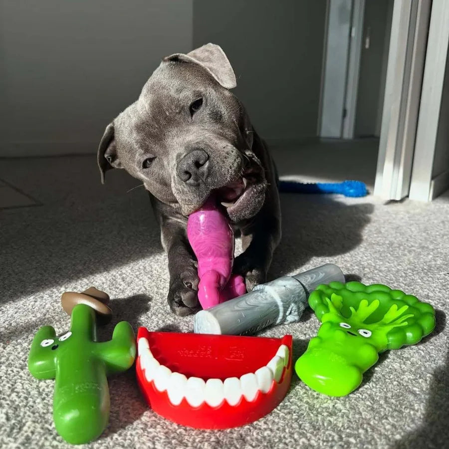Happy Staffy Co Chomp-O-Potamus