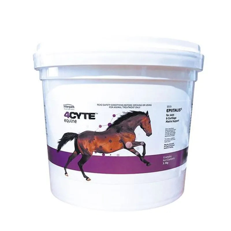 4CYTE EQUINE GRANULES