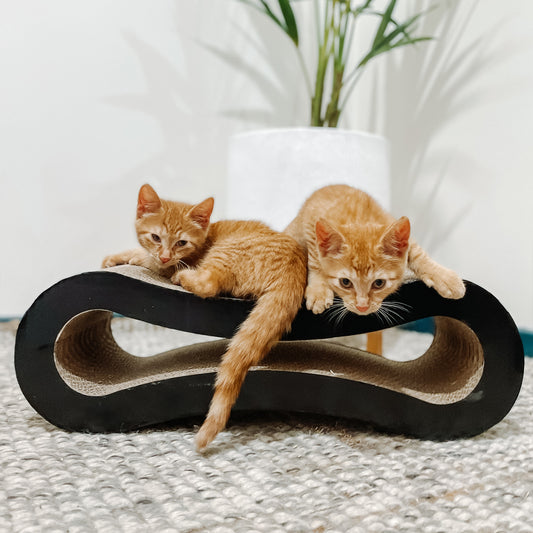 Playful Pedicure Infinity Shaped Cardboard Scratcher 18.5x10x56cm