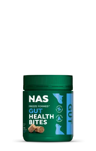 NAS Health Bites Gut Health
