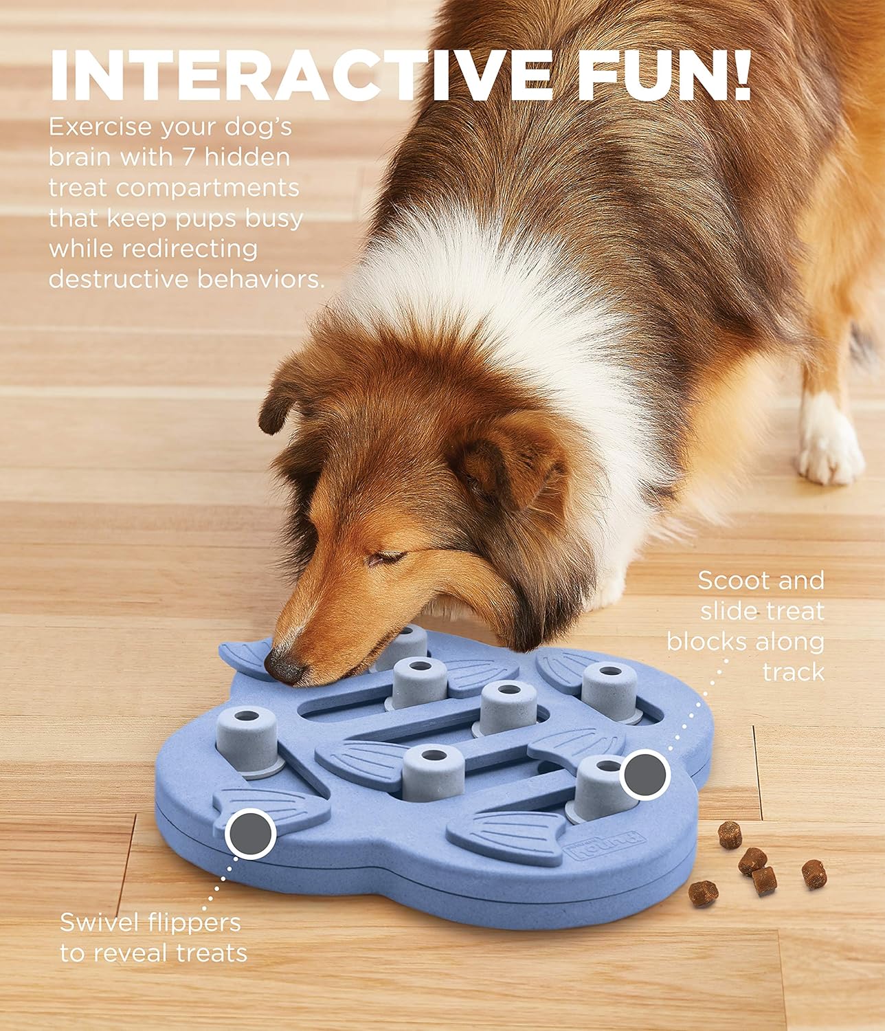 Outward Hound Nina Ottosson Dog Hide n' Slide Puzzle