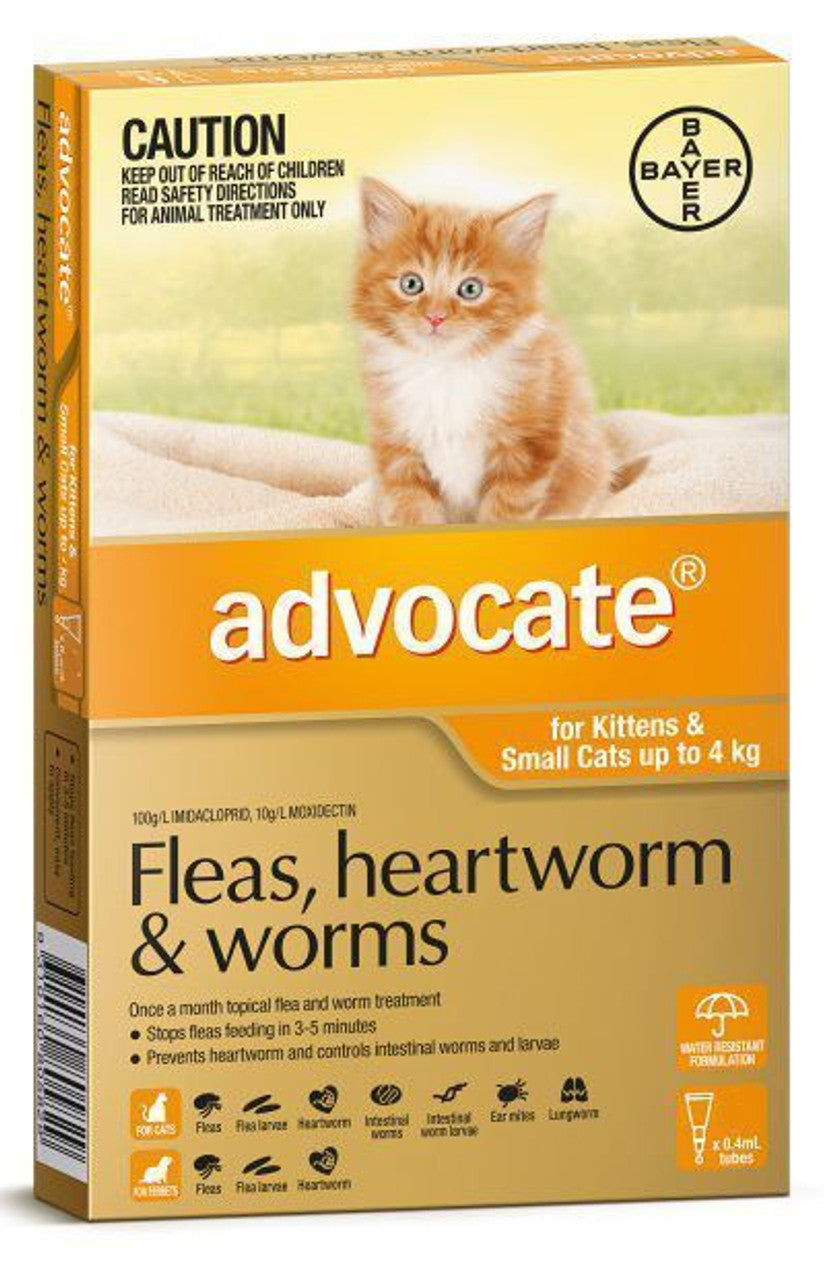 Advocate for Kittens and Cats Up to 4kg