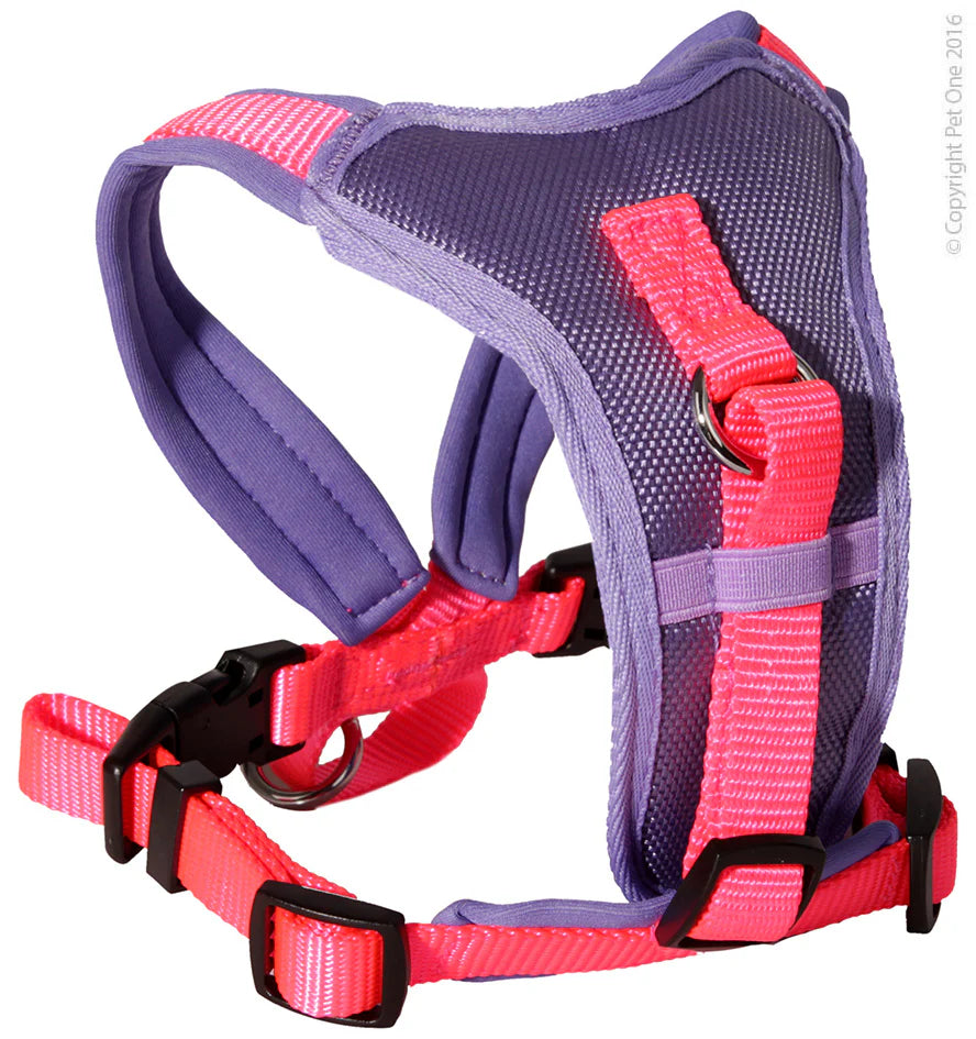 Pet One Harness Comfy Padded Pink Purple