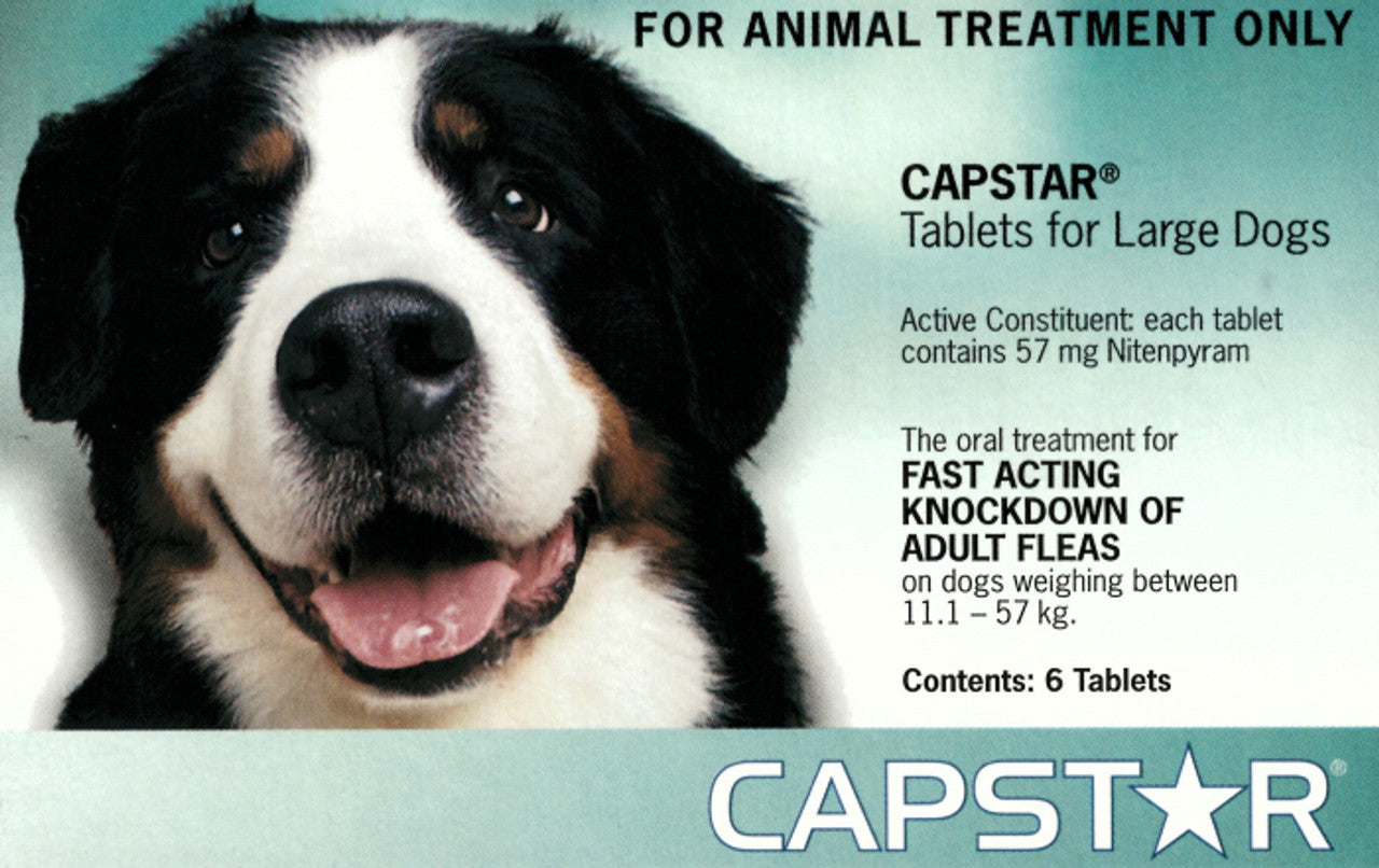 Capstar Green for Dogs over 11kgs