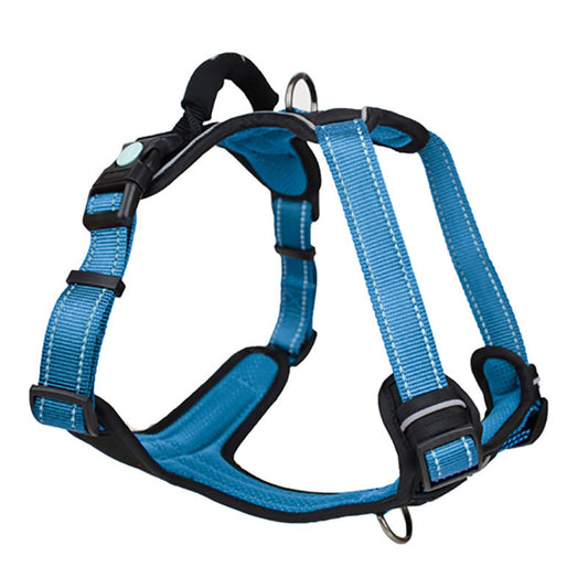 huskimo ultimate harness Bells Beach (blue)