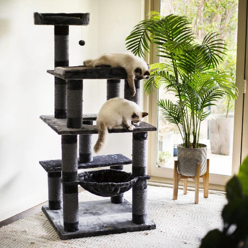 Kazoo Cat Scratch Post 5 Level Playground Charcoal