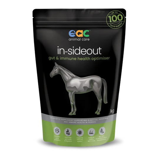 EAC IN-SIDEOUT HORSE