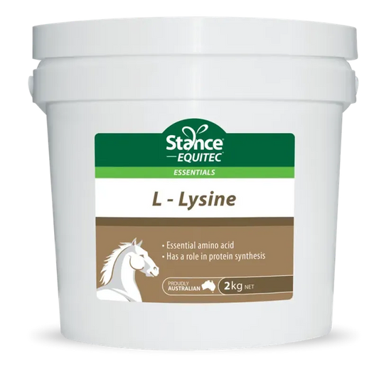 EQUITEC LYSINE 2KG