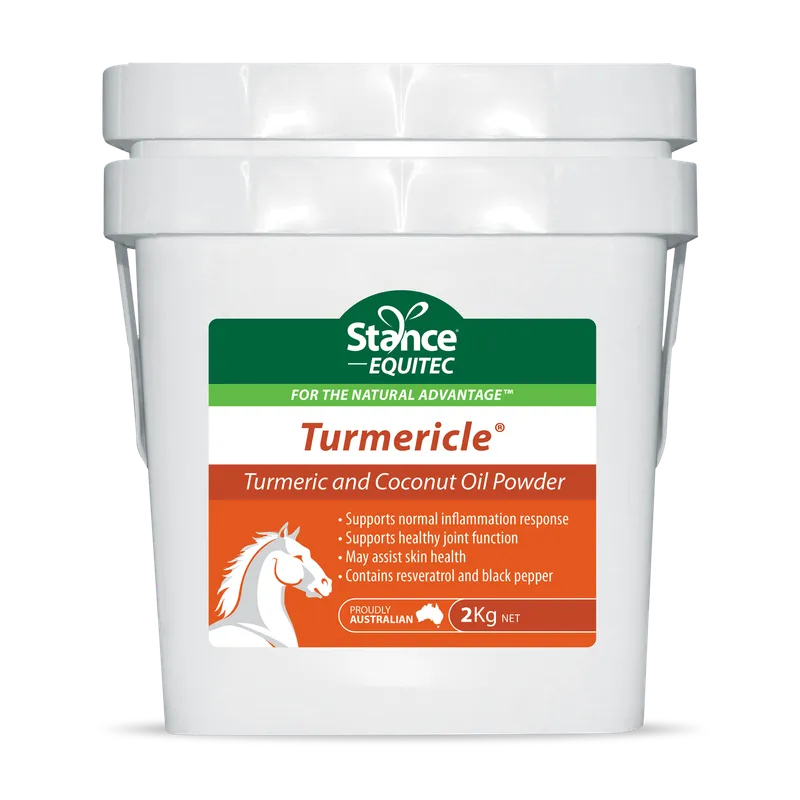 EQUITEC TURMERICLE