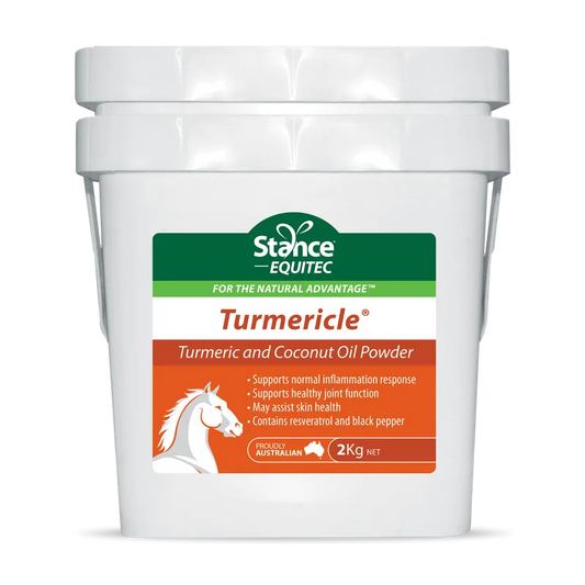 EQUITEC TURMERICLE
