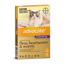 Advocate for Cats over 4kgs Purple