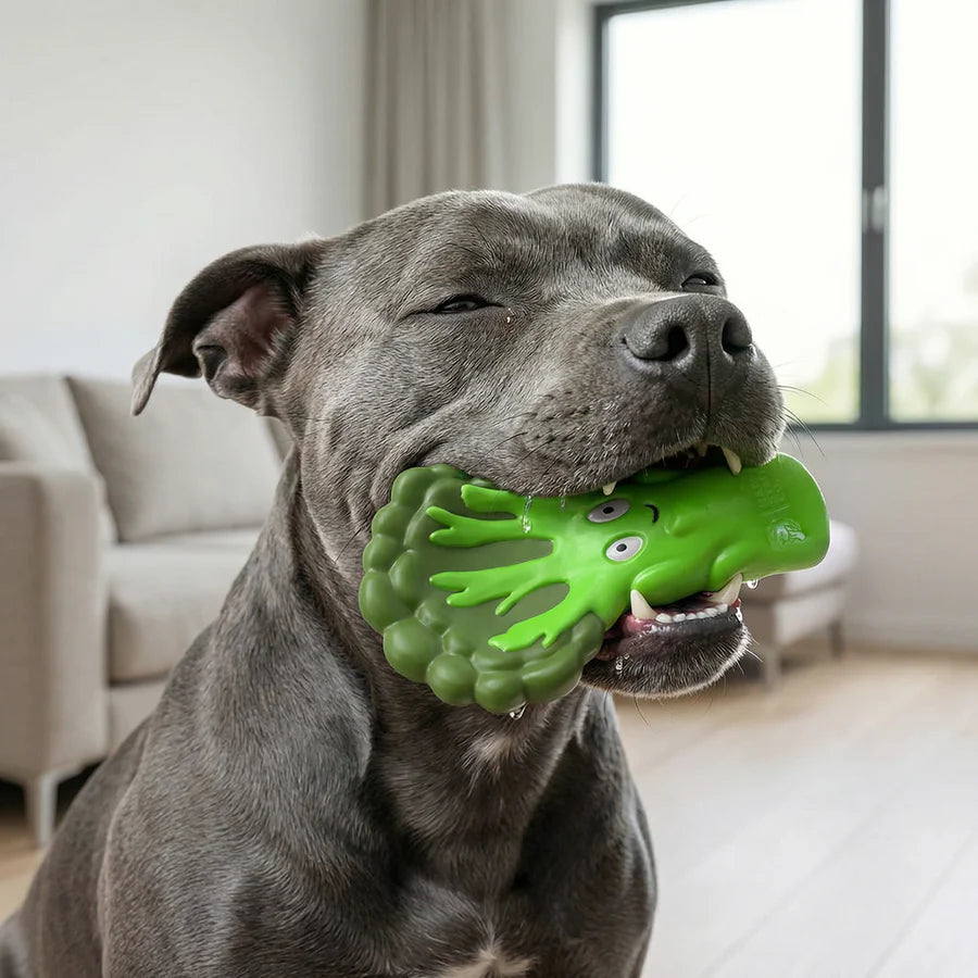 Happy Staffy Co Broccoli Crunch Toy