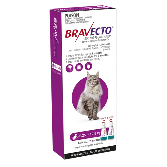 Bravecto Purple for Cats 6.25-12.5kgs