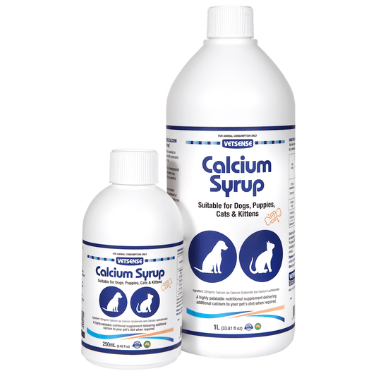 Vetsense Calcium Syrup