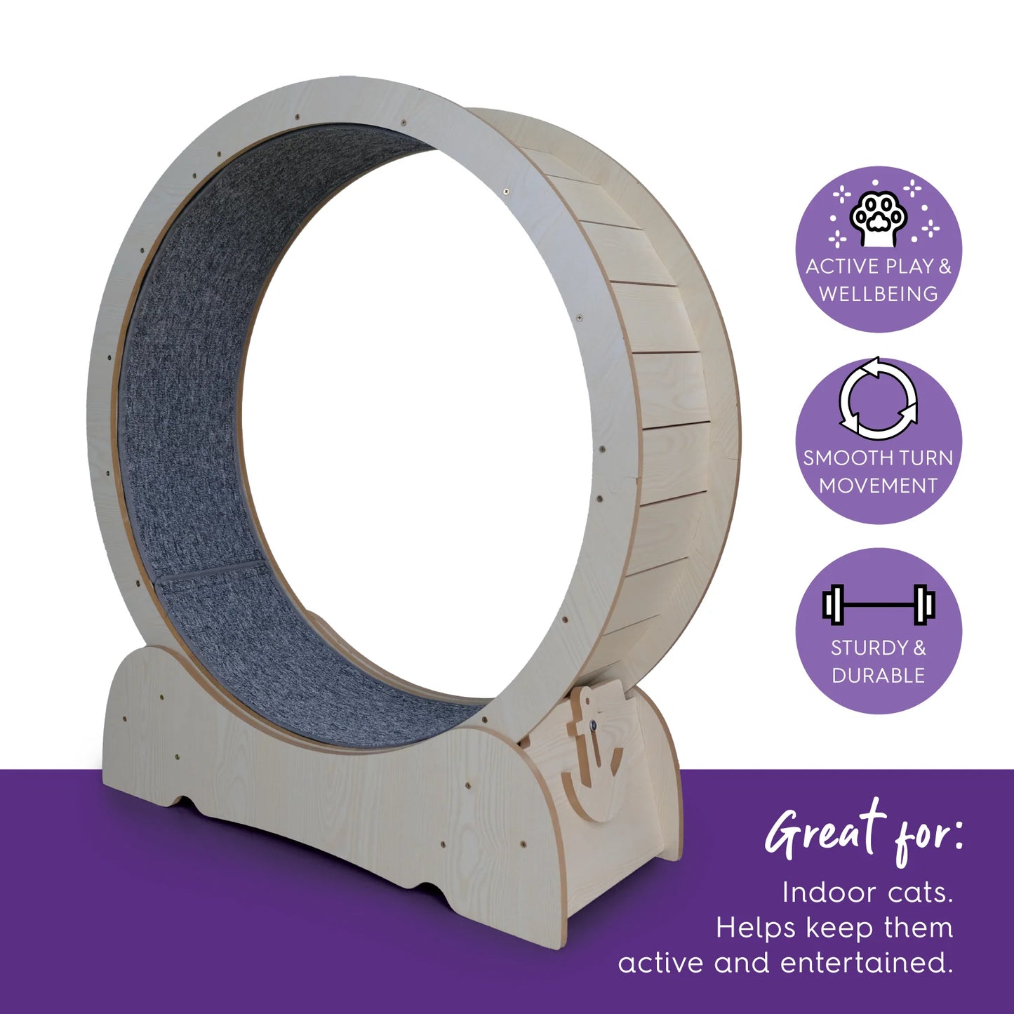 Kazoo Cat Workout Wheel