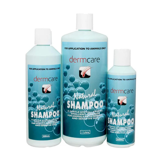 Natural Shampoo