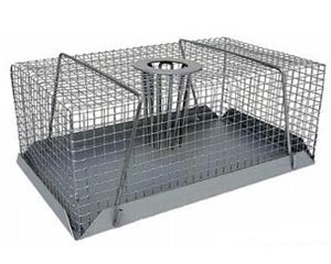 Pet One Mouse Trap S