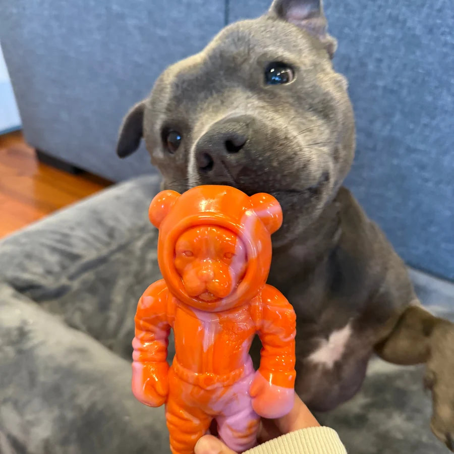 Happy Staffy Co Astro Pup